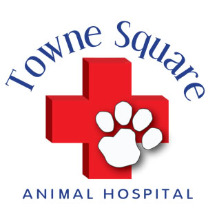 Towne Square Animal Hospital Logo